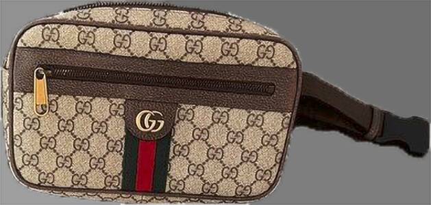 beauty of gucci belt bag